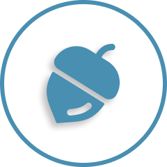 alt image