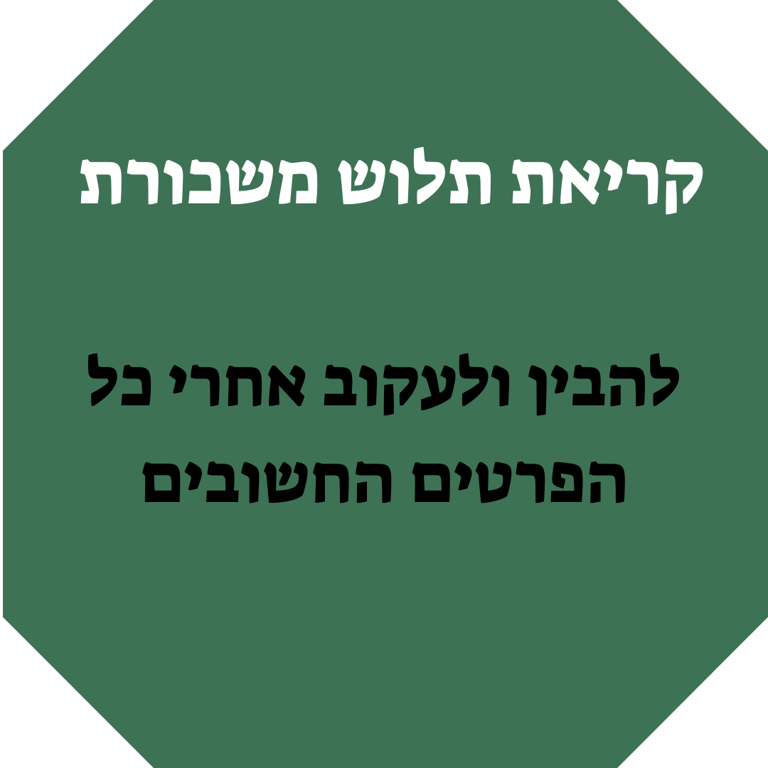 ייללי