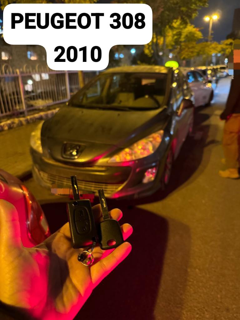 peugeot_ 308 