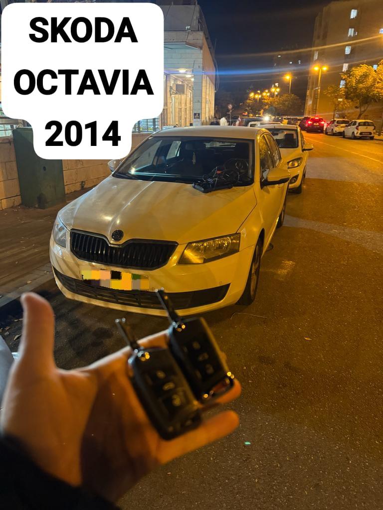 skoda_ octavia