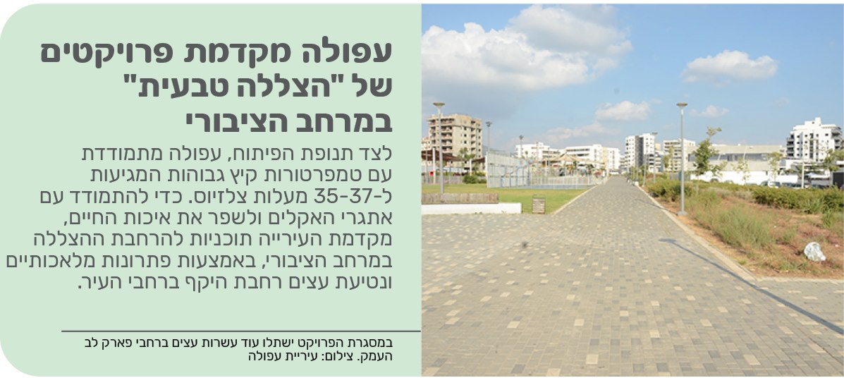 עפולה מקדמת פרויקטים של "הצללה טבעית" במרחב הציבורי