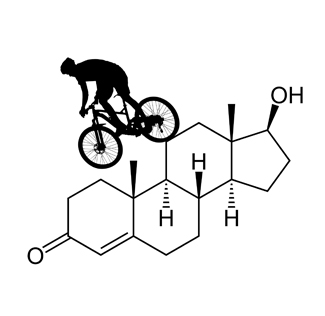 אילוסטרציה של רוכב אופניים על מולקולת טסטוסטרון